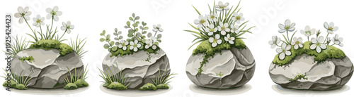 Set of 4 Flowering Rocks with White Flowers and Greenery for Nature, Botanical, and Outdoor Design Themes