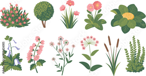 Botanical garden plants collection illustration, flowering shrubs, wildflowers and decorative herbs flat vector set isolated
