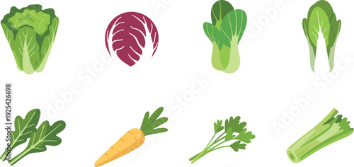 Fresh vegetable icon set with lettuce cabbage bok choy carrot parsley celery, flat vector illustration collection
