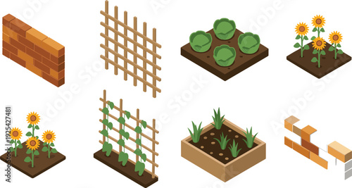 Isometric garden elements collection with brick wall, wooden trellis, cabbage beds and sunflower plants, flat vector illustration