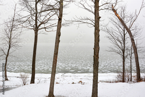 Winter landscape with bare trees and white snow covering the shore, as well as a body of water with ice formations