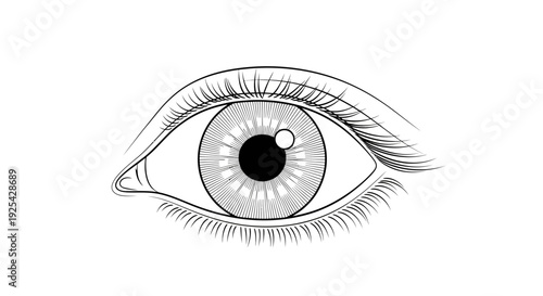 Detailed Black and White Drawing of a Human Eye, Iris Detail, Close-up