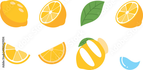 Minimal flat lemon fruit collection with slices leaf and water drop, citrus vector illustration isolated set