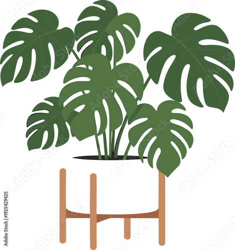 Monstera deliciosa plant in modern pot, minimalist tropical houseplant illustration isolated on white background flat vector design