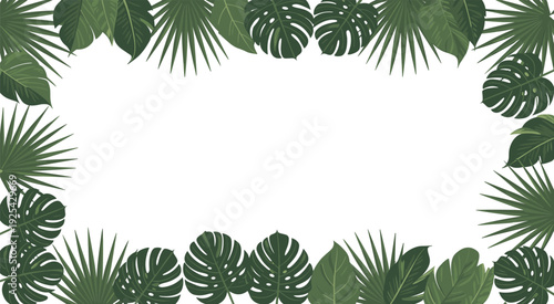 Tropical leaf border frame design, lush green palm and monstera foliage background isolated on white flat vector