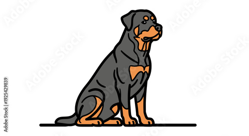 Sitting Rottweiler Dog, Loyal Companion, German Breed, Pet Portrait