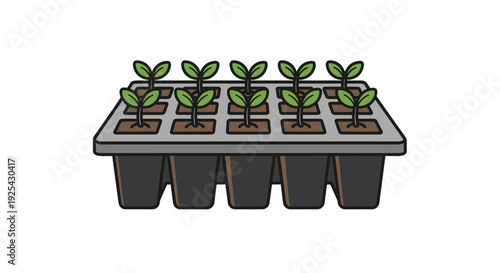 Seedlings Growing in a Tray: Agriculture, Gardening, and New Life Concept