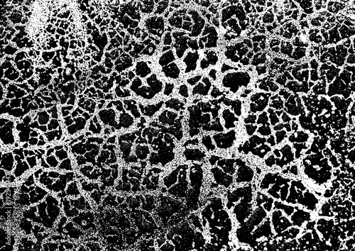 Large abstract organic vector texture with a transparent background