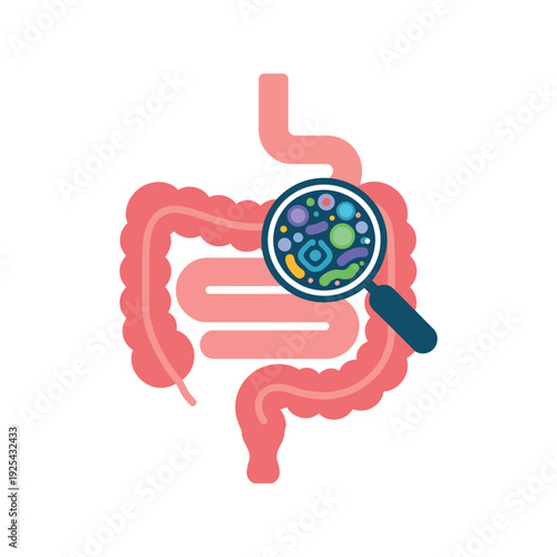 A magnified view of the human gut microbiome inside the intestines