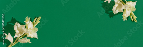 Wallpaper Mural Minimal style floral composition made of white gladiolus flower bunches on green sunlit background with shadow. A natural aeshtetic Torontodigital.ca