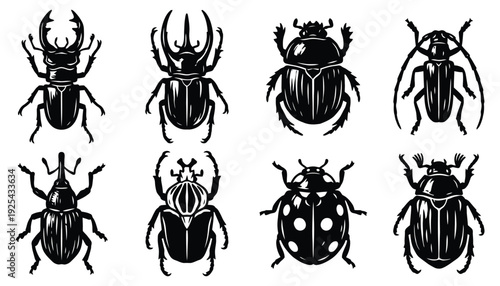 Diverse Beetle Silhouettes Collection