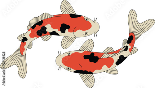 Digital illustration of two koi fish swimming, colorful ornamental Japanese carp vector art design