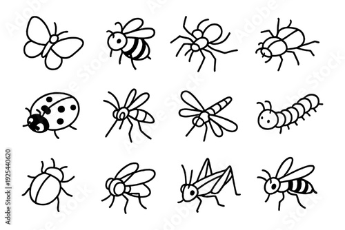 Hand drawn insect collection with butterflies, bees, and more