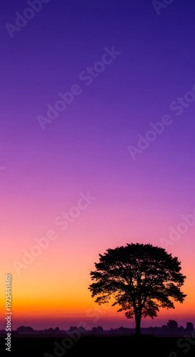 Silhouette of lone tree at sunset with vibrant purple orange sky and horizon glow