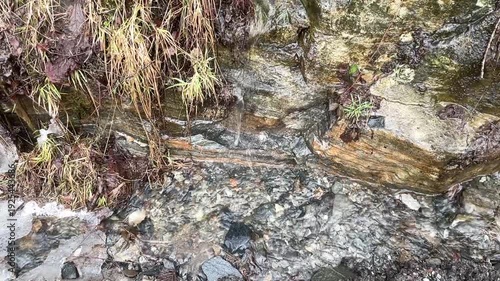 Slow motion of small water dripping down into a small stream of water
