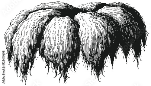 Wallpaper Mural A black and white illustration of a cluster of hairy, textured objects hanging from above, viewed from the front. Torontodigital.ca