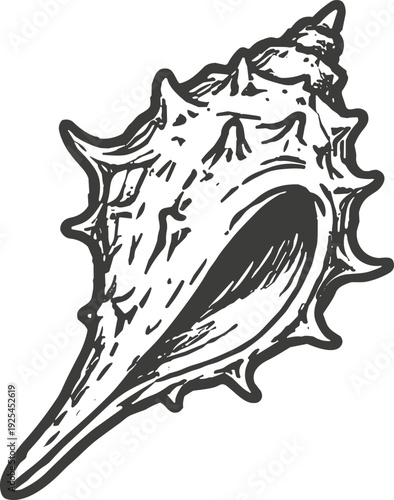 Detailed black and white illustration of a spiky seashell on a white background