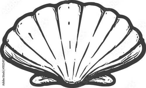 Stylized illustration of a single scallop seashell, a symbol of travel and pilgrimage