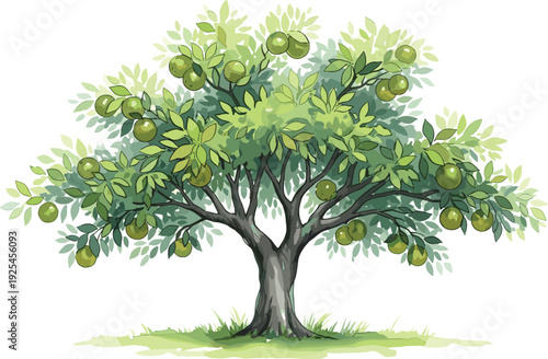 A large green tree with many fruits and leaves growing in a grassy area