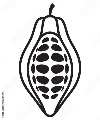 Fresh organic cocoa fruit, isolated on white and black background as object