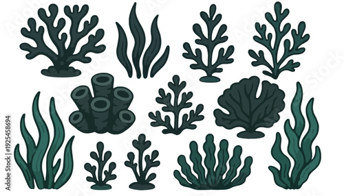 Seaweed vector illustration set of various ocean plant silhouettes and icons