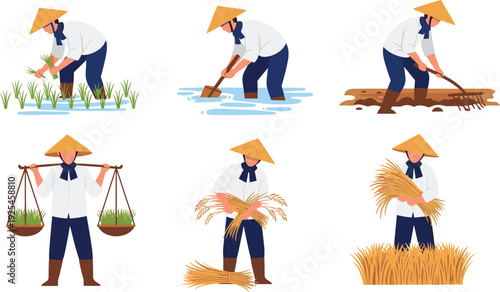 Rice Farming and Harvesting Set with Farmer Planting Seedlings Cultivating Field Carrying Crops and Gathering Wheat Vector Illustration Collection