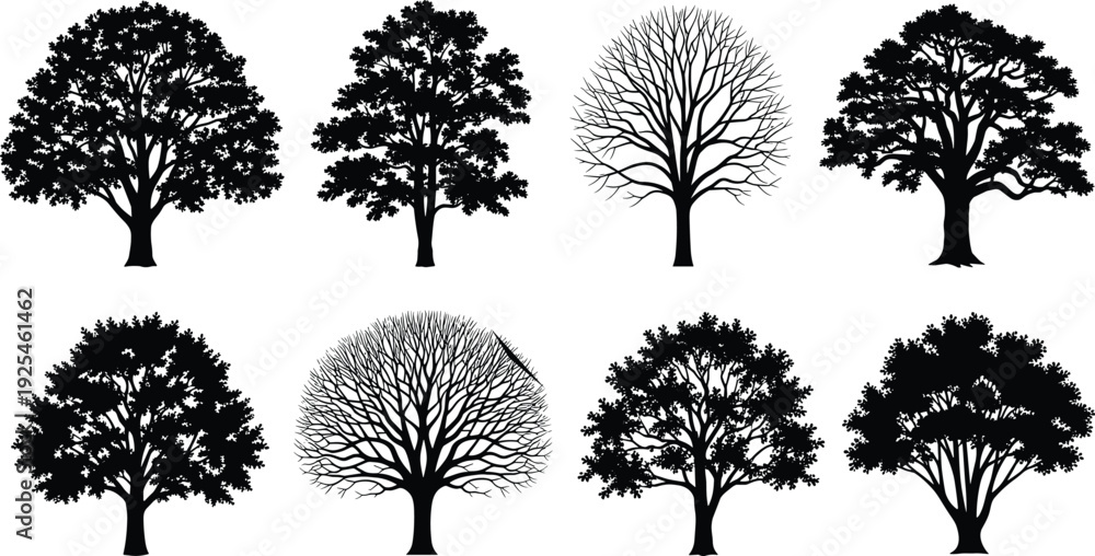 Obraz premium Black deciduous tree silhouettes collection, detailed oak and leafless trees, botanical nature elements isolated on white background
