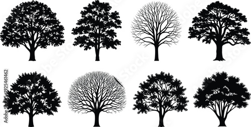 Black deciduous tree silhouettes collection, detailed oak and leafless trees, botanical nature elements isolated on white background