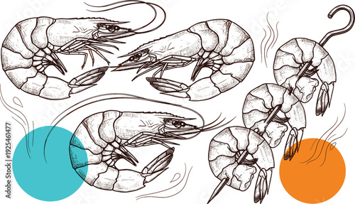 Hand drawn vintage engraved shrimp vector set with whole prawns and grilled seafood skewers