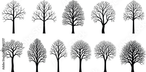 Black leafless tree silhouettes collection, winter deciduous trees, bare branches botanical nature illustration elements isolated on white background