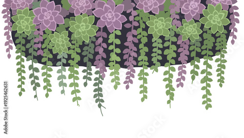 Purple Wisteria Flowers Hanging in Cascade.