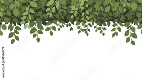 Trailing green hanging vines with lush leaves.