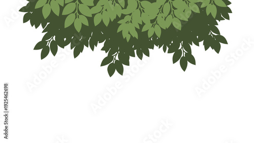 Vibrant green leafy canopy close up.