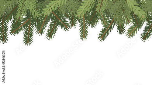 Close Up Of Green Pine Branches With Needles.