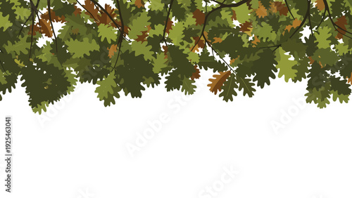 Close up of green leafy canopy.