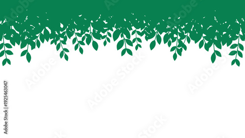 Close up vibrant green hanging leaves and vines.