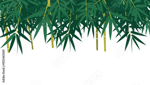 Close up of vibrant bamboo leaves and stalks.