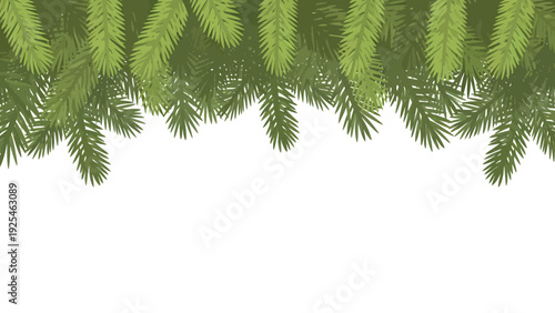 Close up view of green fern fronds.