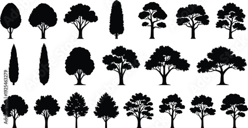Black tree silhouettes collection, deciduous and ornamental trees, landscape botanical nature design elements isolated on white background