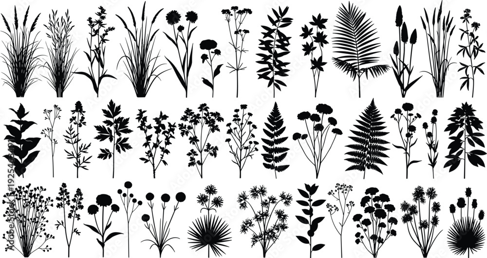 Fototapeta premium Black wild plant and flower silhouettes collection, botanical herbs and meadow flora, nature illustration elements isolated on white background