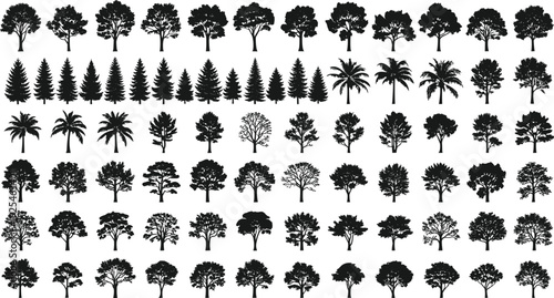 Mega, collection, of, one, hundred, black, tree, silhouettes, including, pine, palm, and, deciduous, types, isolated, on, white, background, vector, set.