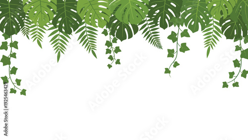 Hanging Ferns and Trailing Ivy Fronds in Frame.