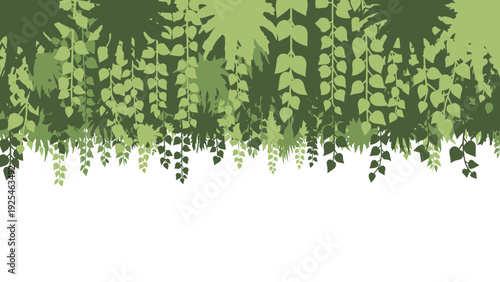 Hanging green ferns forming a lush trailing border.