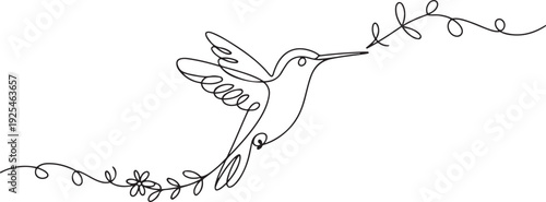 Hummingbird one continuous line drawing. Cute decoration hand drawn elements. one line Icon drawing