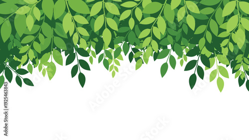 Lush Green Leaves Forming a Dense Canopy.