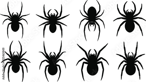 Spider silhouette set, creepy arachnid vector icons, scary insect halloween decoration elements, tarantula species poses, poisonous bug, black white, garden