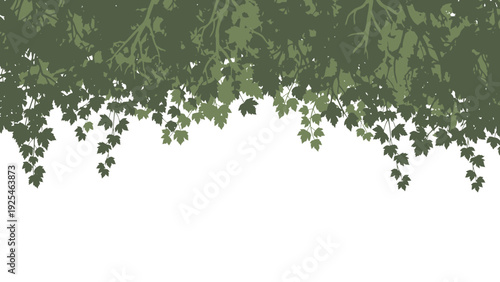 Lush Green Leaves Hanging Overhead From Branches.