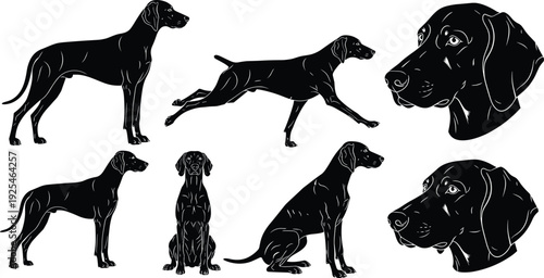 Dog silhouettes and head portraits collection, domestic canine in standing, running and sitting poses, pet animal illustration isolated on white background