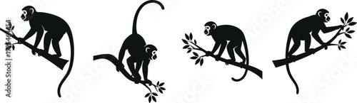 Monkey silhouettes on tree branches vector illustration set, wildlife animal icons collection, black design isolated on white background