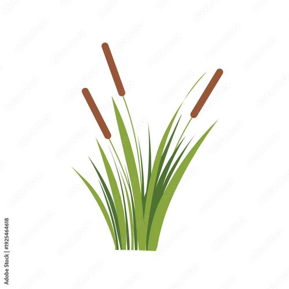 Φωτογραφία Vector cattail plant with green grass